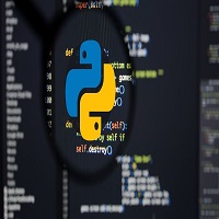 Internship in Python